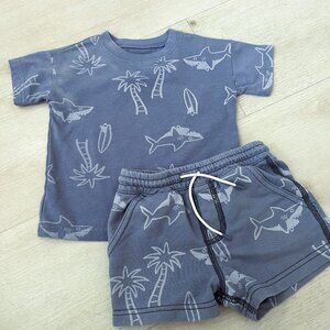 Carter's Baby Boy Blue T-Shirt and Short Set Size 18 Months